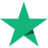 trustpilot star
